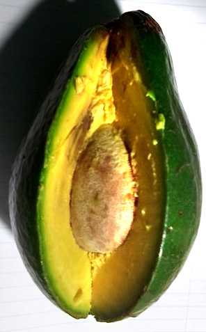 avocado