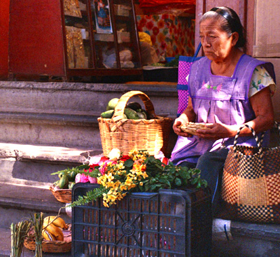 bundle of dried herbs bought in mercado