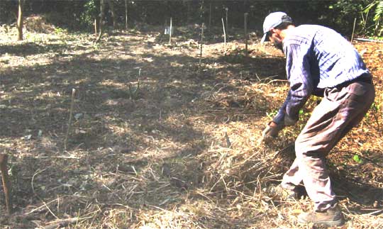 La Huerta de Plantas Medicinales