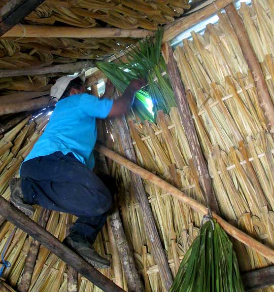 repairing a hole in a Maya hut's thatch roof
