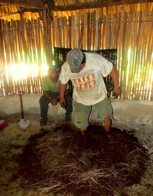 preparing mud and straw to apply to interior of Maya hut