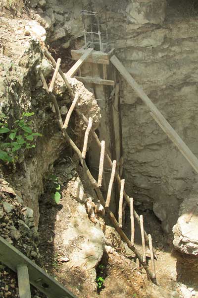 ladder made of DIPHYSA CARTHAGENENSIS wood