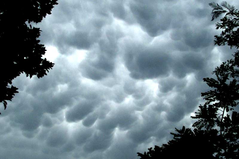 mammatus clouds