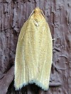 Clepsis clemensiana