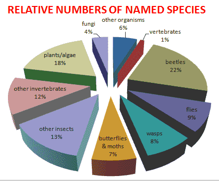 Species Diversity Chart