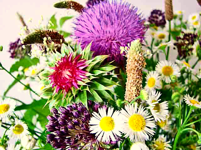 flower arrangement by JoAnn Wasson