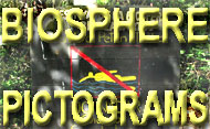 BIOSPHERE PICTOGRAMS