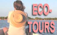 ECOTOURS